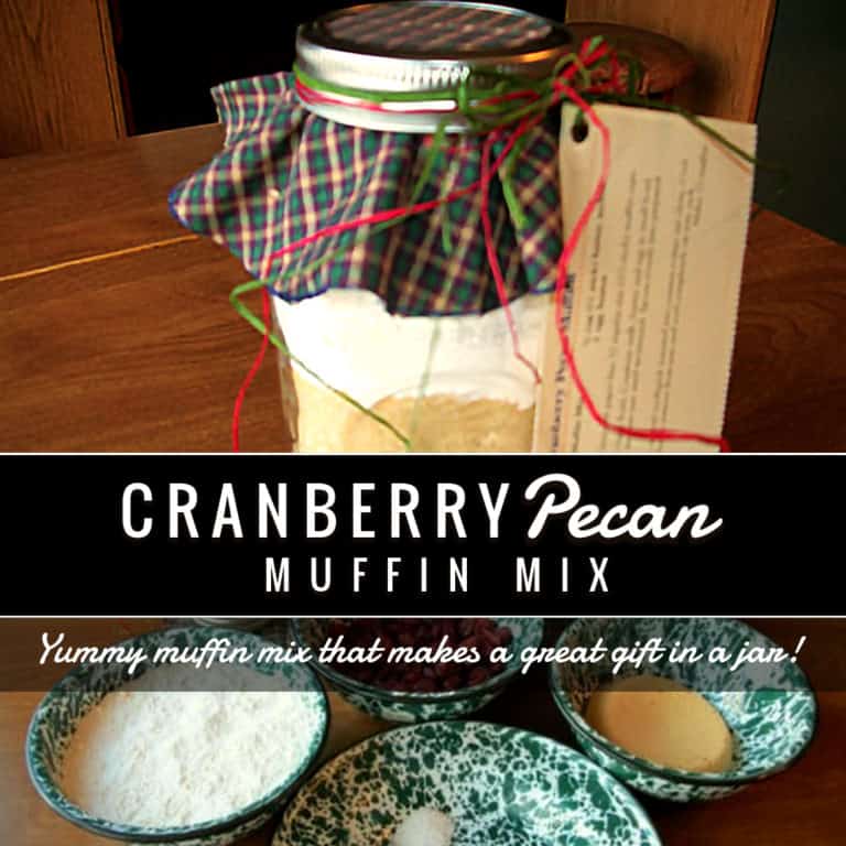 Gift in a Jar: Cranberry Pecan Muffin Mix