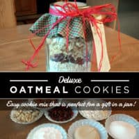 Gift in a Jar: Deluxe Oatmeal Cookies