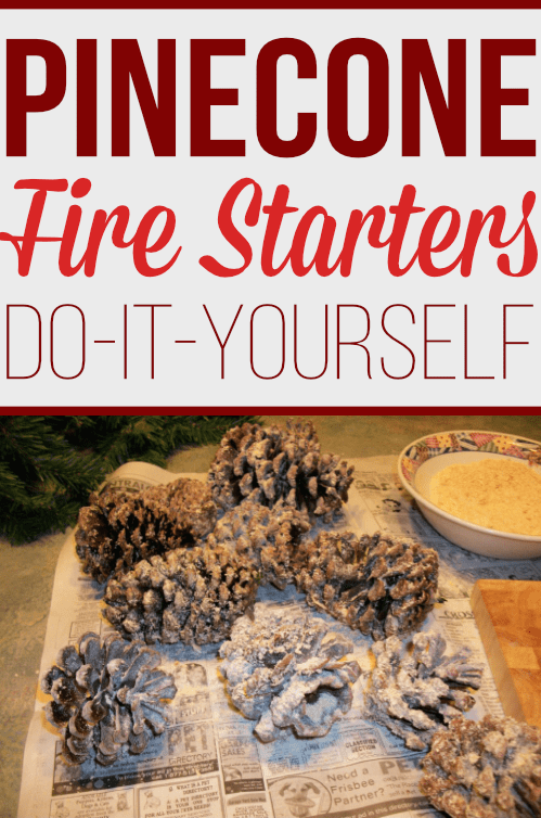 Start a fire with these homemade firelighters. Learn how to make firestarters with sawdust and a few other supplies you already have at home. These DIY firelighters also make for great home decor to be displayed throughout the winter season!