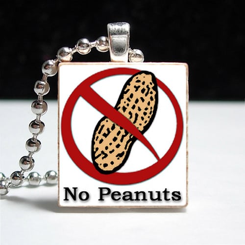 11 Peanut-Free Safe Snack Ideas