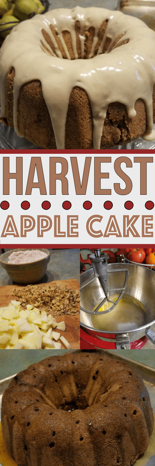 Harvest Cake Recipe