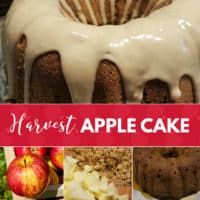 Harvest Apple Cake Recipe