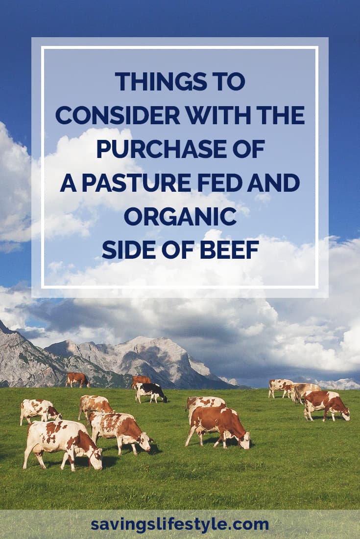 Buying a Side of Beef: Everything You Need to Know