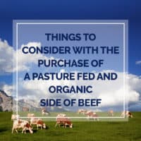 How to Buy a Side of Pasture Fed Organic Beef