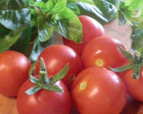 Carrabba_s Tomatoes Caprese Ingredients