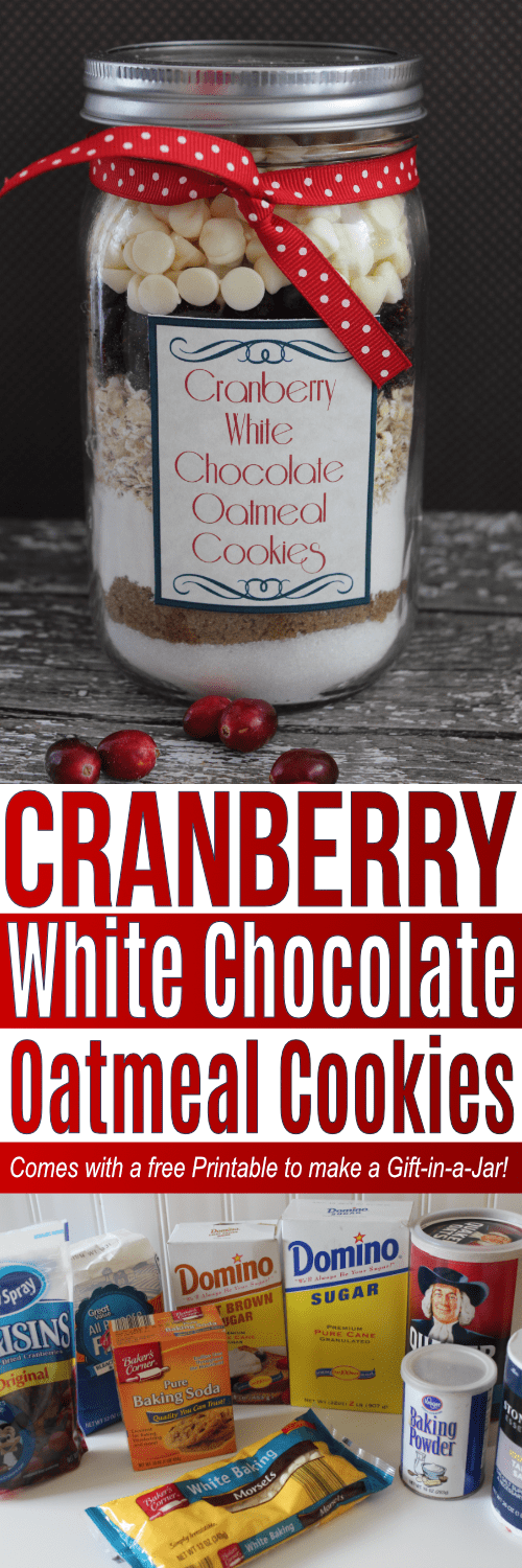 Cranberry White Chocolate Oatmeal Cookie mix in a jar. Simple gift and great dessert!