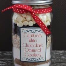 https://savingslifestyle.com/wp-content/uploads/2014/01/Cranberry-White-Chocolate-Oatmeal-Cookies-in-a-Jar-225x225.jpg