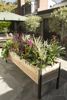 Elevated Cedar Planter Box