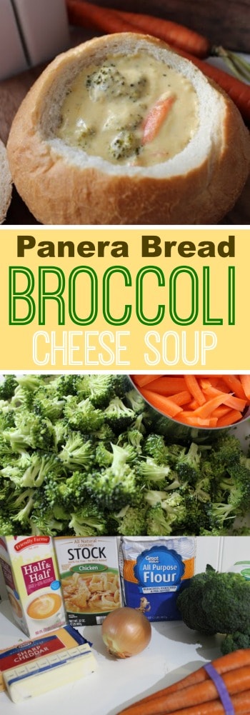 If you love the Broccoli Cheddar Cheese soup at Panera Bread, you will LOVE this copycat recipe!