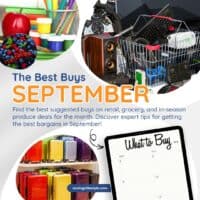 The Best Buys September