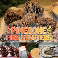 DIY Pinecone Fire Starters