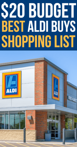 Shopping at Aldi: Aldi Special Buys with a $20 Budget