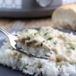 slow cooker creamy chicken